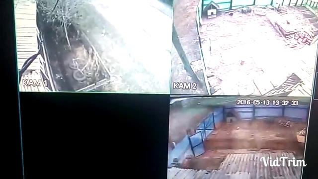 ЧЕРТЕНКОВ ВИТАЛИЙ ВАСИЛЬЕВИЧ.разбил стекло дома.д смотреть онлайн