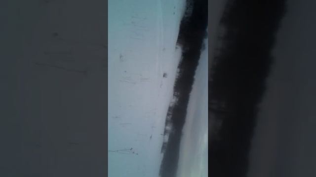 Самодельный мотобуксировщик (попытка 2)13 февраля 2016 г. смотреть онлайн