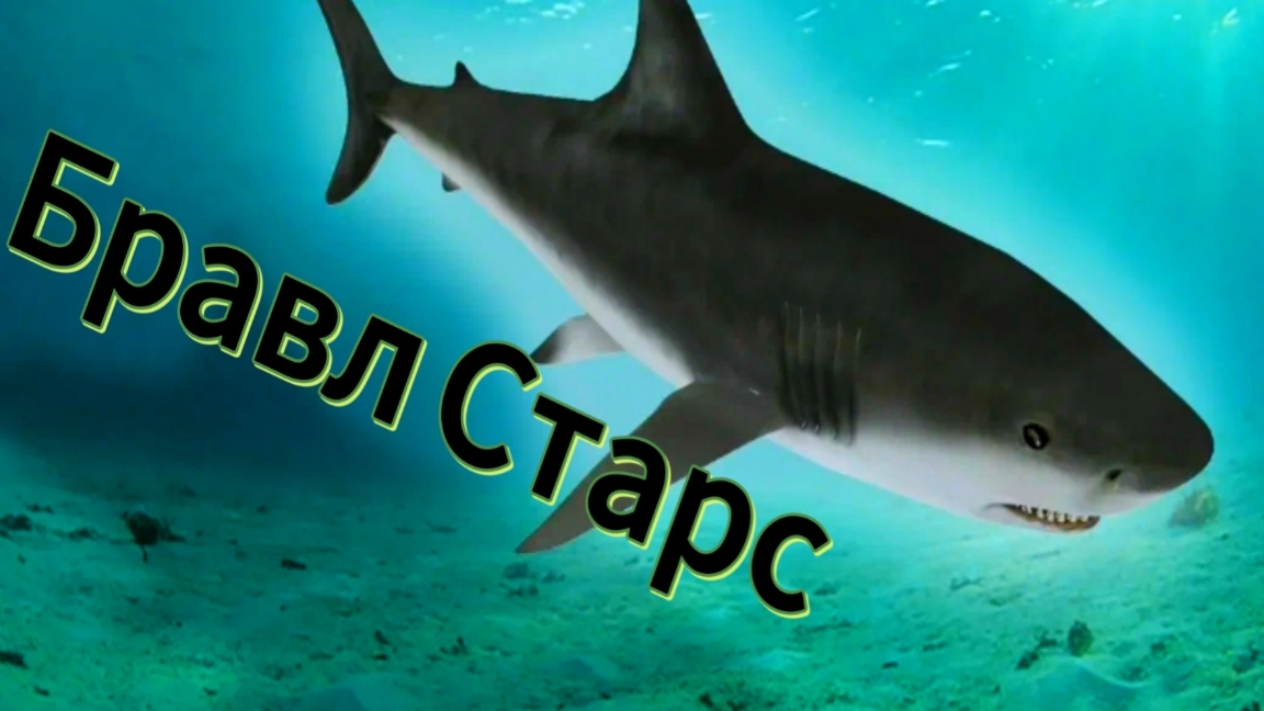 Спанч Боб!!!