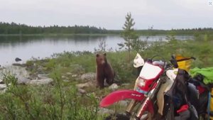 Как мы на Кольском от медведя отбивались....