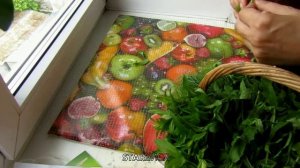 Электросушилка. Инфракрасная электросушилка "Самобранка".....