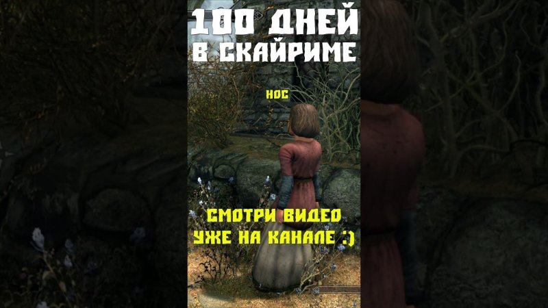 100 дней Хардкора #skyrim #прохождение #скайрим #прохождениеигры #100днейхардкор #100днейскайрим