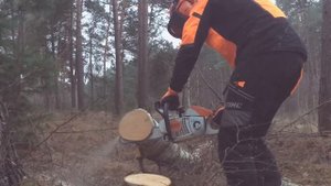 Stihl MS 201 C-M