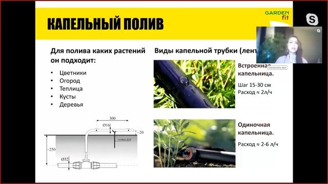 Автополив на дачном участке: главные вопросы