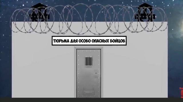 Мультихайп Юрий Бойко против Брюсли продалжение 100 лайков