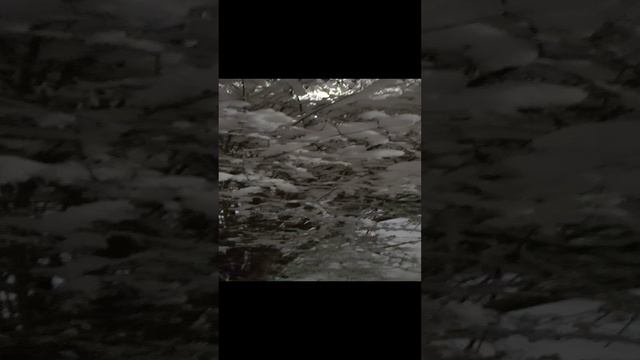 Первый день зимы.1 декабря 2023 года.