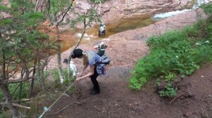 Приморский край, Тернейский район  13 16 07 2017 г