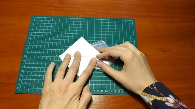 Мастер-класс "Аквариум" смотреть онлайн