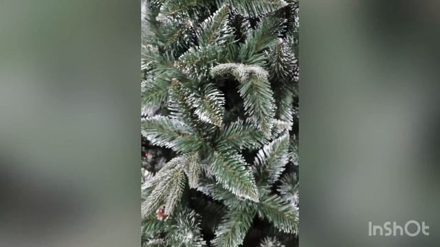 ЕЛЬ СНЕЖНОЕ СЕРЕБРО с шишками и литыми ветками смотреть онлайн