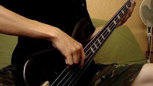 Cannibal Corpse - A Skull Full Of Maggots (BASS)