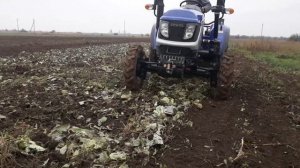 Трактор ловол тл 244 фриза дтз