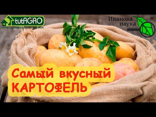 НАЗВАН САМЫЙ ВКУСНЫЙ СОРТ КАРТОФЕЛЯ! Этот картофель - вне конкуренции. Очень вкусный и урожайный!