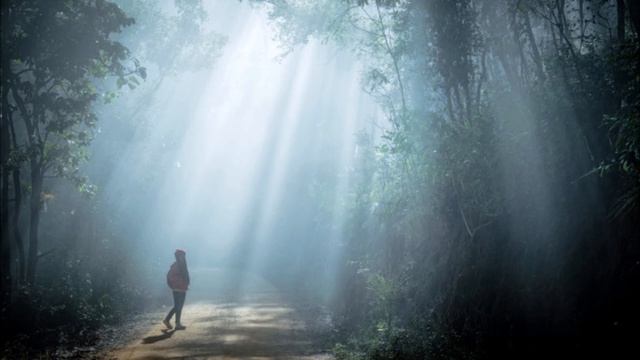 "Dusk Rays" for ensemble and electronics (2018) смотреть онлайн