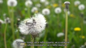 Заговор на удачу в работе читать самостоятельно в домашних условиях