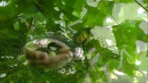 Женская доля Муз.Н.Жукова,ст В.Кузавка,поет Г.ПогорельскаяКислякова. .mp4