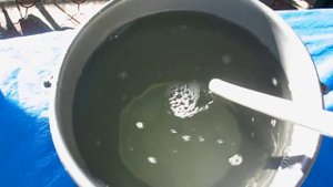 НАШАТЫРНЫЙ СПИРТ -СУПЕР СРЕДСТВО от тли на деревьях и на кустах. Опрыскиваем деревья от тли.