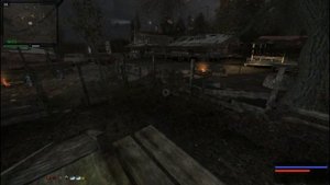 S.T.A.L.K.E.R. Путь Человека: Возвращение #12 (Болотный Доктор)