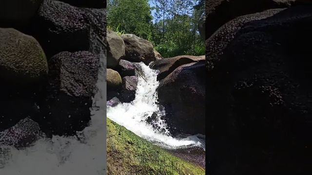 A Flowing River with Roots at the Core of Mt. Kilimanjaro in Tanzania.