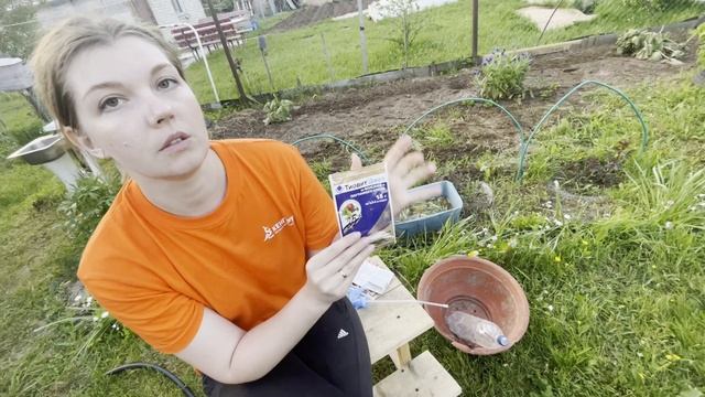 ВРЕМЯ КОРМИТЬ РОЗЫ. Три основные подкормки до первого цветения смотреть онлайн