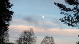 Луна и солнце одновременно - Moon and sun at the same time