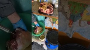 Рульки | Андрей Лунёв