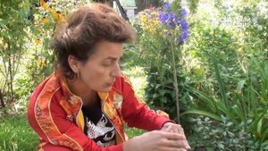 Водоем для маленького сада. Сайт "Садовый мир"