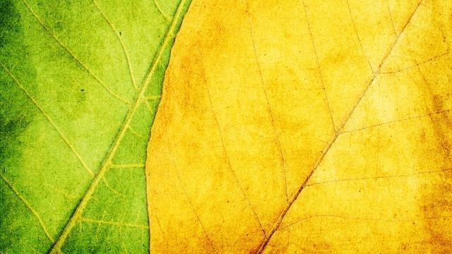 ЭТО НЕ ЗНАЮТ МНОГИЕ: САМАЯ КОНТРАСТНАЯ ПАРА ЦВЕТОВ. СДЕЛАЙ СВОЙ МАКЕТ КРУЧЕ И ЯРЧЕ! ЦВЕТ В ДИЗАЙНЕ смотреть онлайн