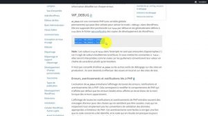 ACTIVER LE MODE DEBUG DE MON SITE WORDPRESS DEPUIS LE PANEL WB2
