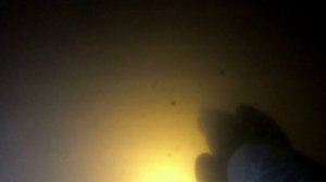 Подводная охота на трофейного сазана. Подводная охота в коряжнике. Подводная охота в Башкирии!