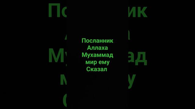 Мухаммад мир ему сказал Что нужно читать перед сном #религия #ислам #напоминания #