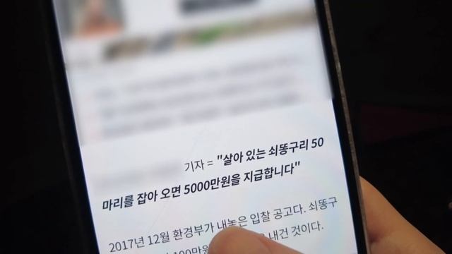 [솔로캠핑] 나를 위한 시간, 빗소리 들으며 놀고먹는 힐링 우중 솔캠 | 육전, 미나리 고기말이, 참치 김치찌개 #캠핑 #우중캠핑 #캠핑요리