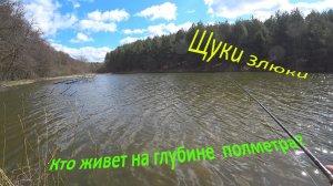 Как и где ловить щуку весной