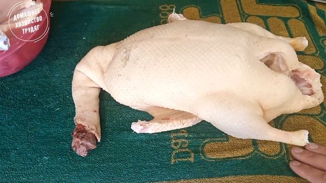 ///Утка Стар-53. Тушка в 100 дней!/// смотреть онлайн