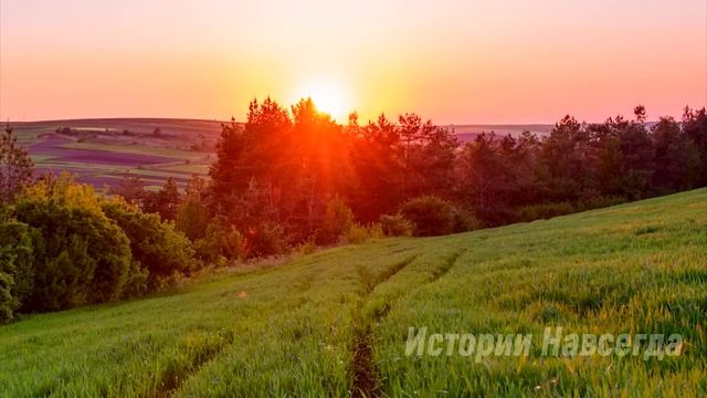 Андрей оцепенел, подслушав странный разговор жены. Такого он точно не ожидал... смотреть онлайн