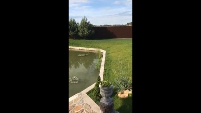Укрепление берега пруда/Берегоукрепление/Bereglux