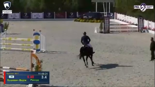 Продается лошадь. Тёмно-гнедой мерин, порода УВП смотреть онлайн