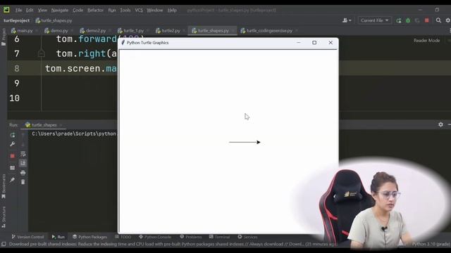 Turtle Coding Exercise for Beginners in Python |Exercise 29 | Python for Beginners #lec114