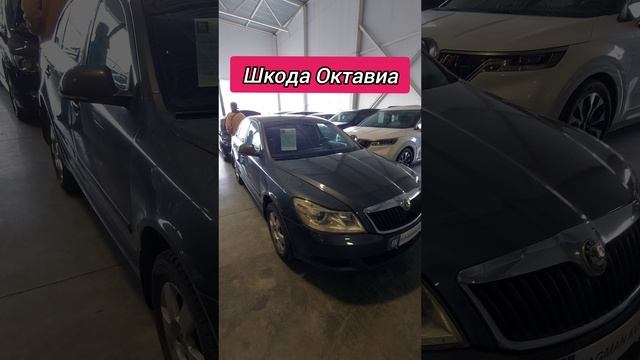 Авторынок. Шкода Октавиа
#шкодаоктавиа #авторынок #цены