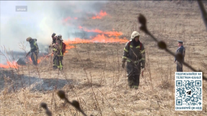 Свыше 30 случаев возгорания сухой травы зафиксировано в Вологодской области с начала весны