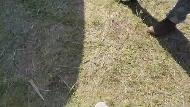 Как устроена мобильная баня-бочка Чемпиона России по банному спорту Артёма ''ТЕМА-БАНЯ" Казельского смотреть онлайн