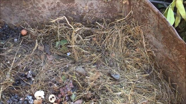 КАК ПРИГОТОВИТЬ КОМПОСТ / КОМПОСТНАЯ ЯМА ИЛИ КОМПОСТНАЯ КУЧА / КОМПОСТ СВОИМИ РУКАМИ НА ДАЧЕ смотреть онлайн