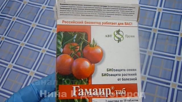 Фитофтора на Помидорах ?Как бороться с фитофторой?Как защитить и лечить томаты! ГАМАИР  Инструкция