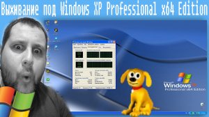 Выживание под Windows XP Professional x64 Edition в 2021 году
