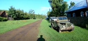 Настоящий Волк Зоопарк в деревне