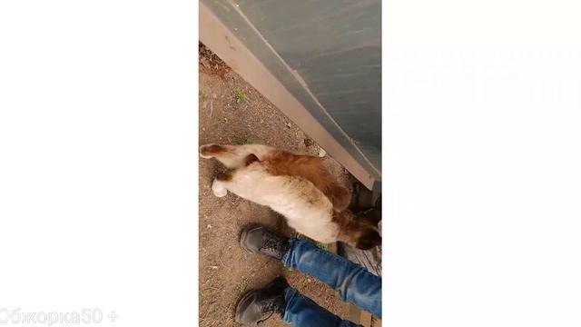 ВЛОГ/ШАШЛЫКИ НА ГАРАЖЕ/МУКБАНГ ВЫХОДНОГО Дня. смотреть онлайн