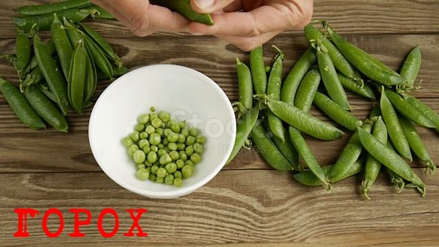 Слова-названия: овощи 2 смотреть онлайн