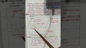 6 класс. ГДЗ. Биология. Рабочая тетрадь.Пасечник. Параграф 11. С комментированием.
