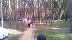 Типичный обед в лагере "Космос 2"
