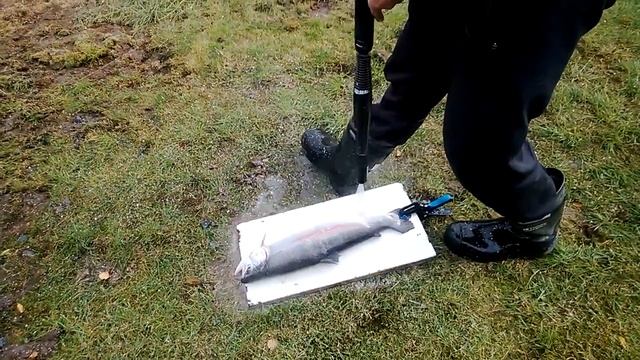 форель 20130925 смотреть онлайн