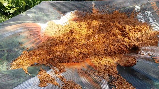 Просо для попугаев. Промывка. смотреть онлайн